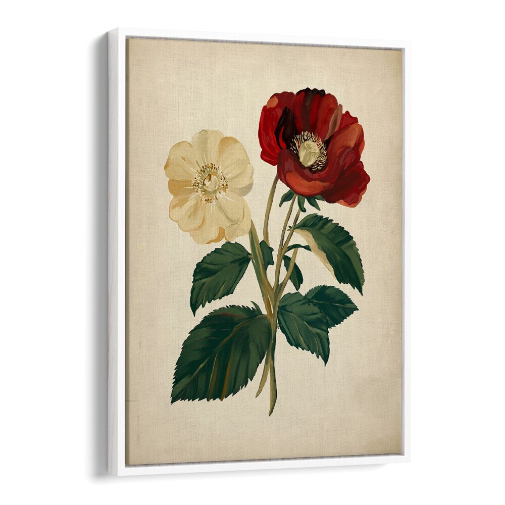 Elegant 18TH CENTURY BOTANICAL , FLORAL FLOWER PAINTINGS showcasing stunning floral details for timeless home decor.