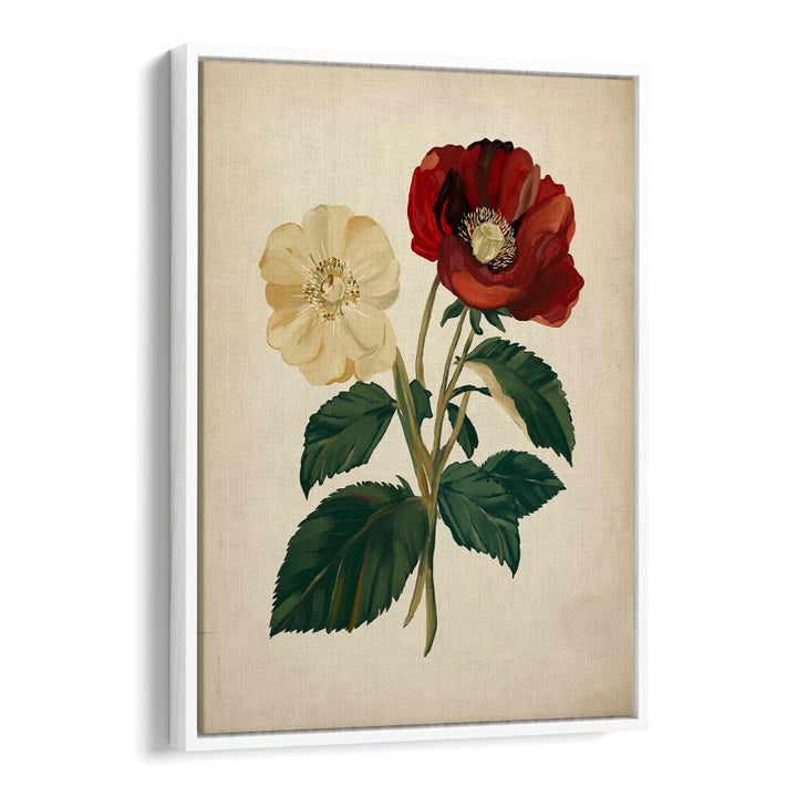 Elegant 18TH CENTURY BOTANICAL , FLORAL FLOWER PAINTINGS showcasing stunning floral details for timeless home decor.