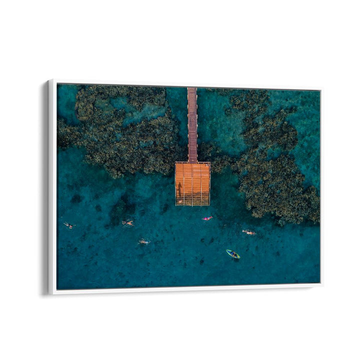 PHOTOGRAPHY painting - CORAL ESCAPE BY IDO MEIROVICH by Asianmonk