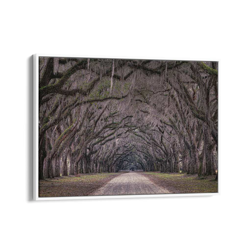 ABSTRACT painting - OAKS AVENUE by Asianmonk