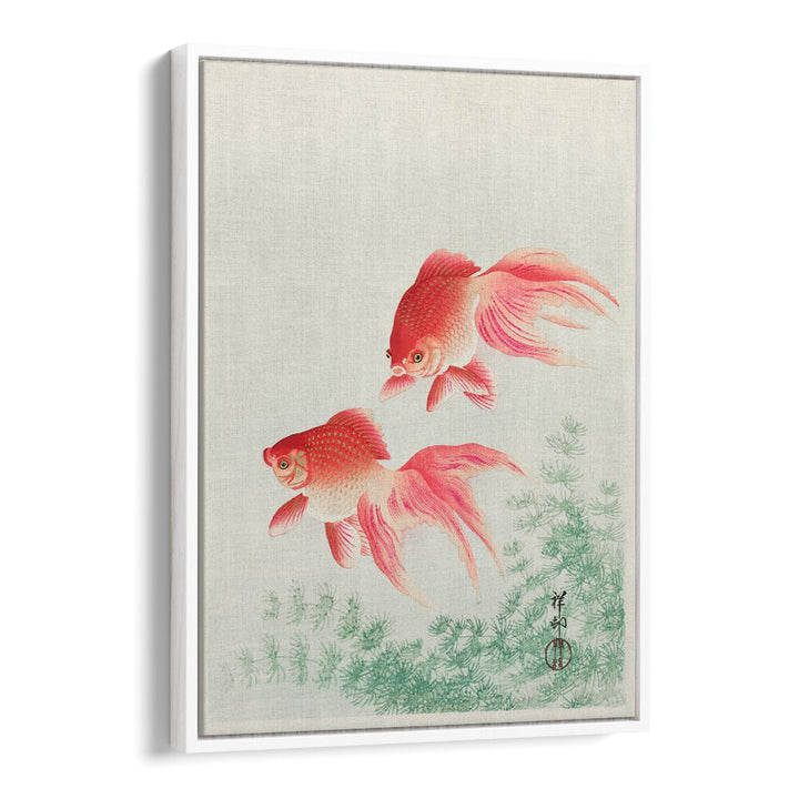 TWO VEIL GOLDFISH (1926)  , JAPANESE PAINTINGS , JAPANESE ART PRINTS