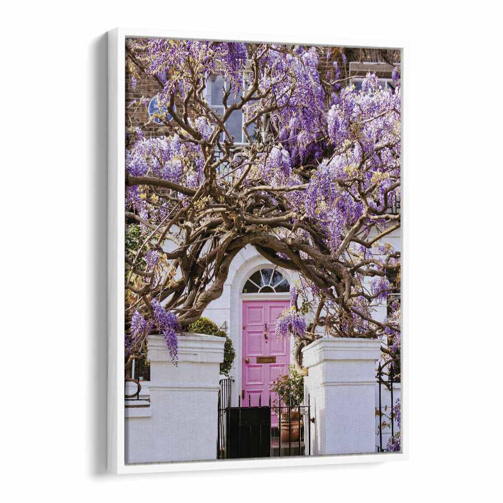 WISTERIA DREAMS , STREET PHOTOGRAPHY ART PRINTS