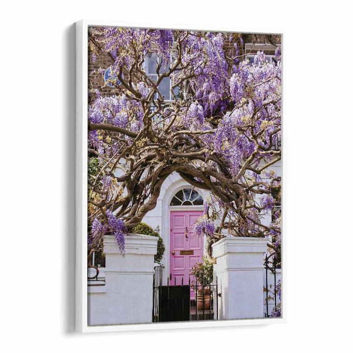 WISTERIA DREAMS BY GABOR ESTEFAN, STREET PHOTOGRAPHY ART PRINTS