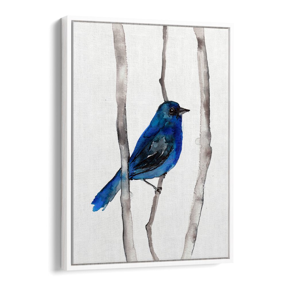 INDIGO BUNTING , ANIMAL PAINTINGS