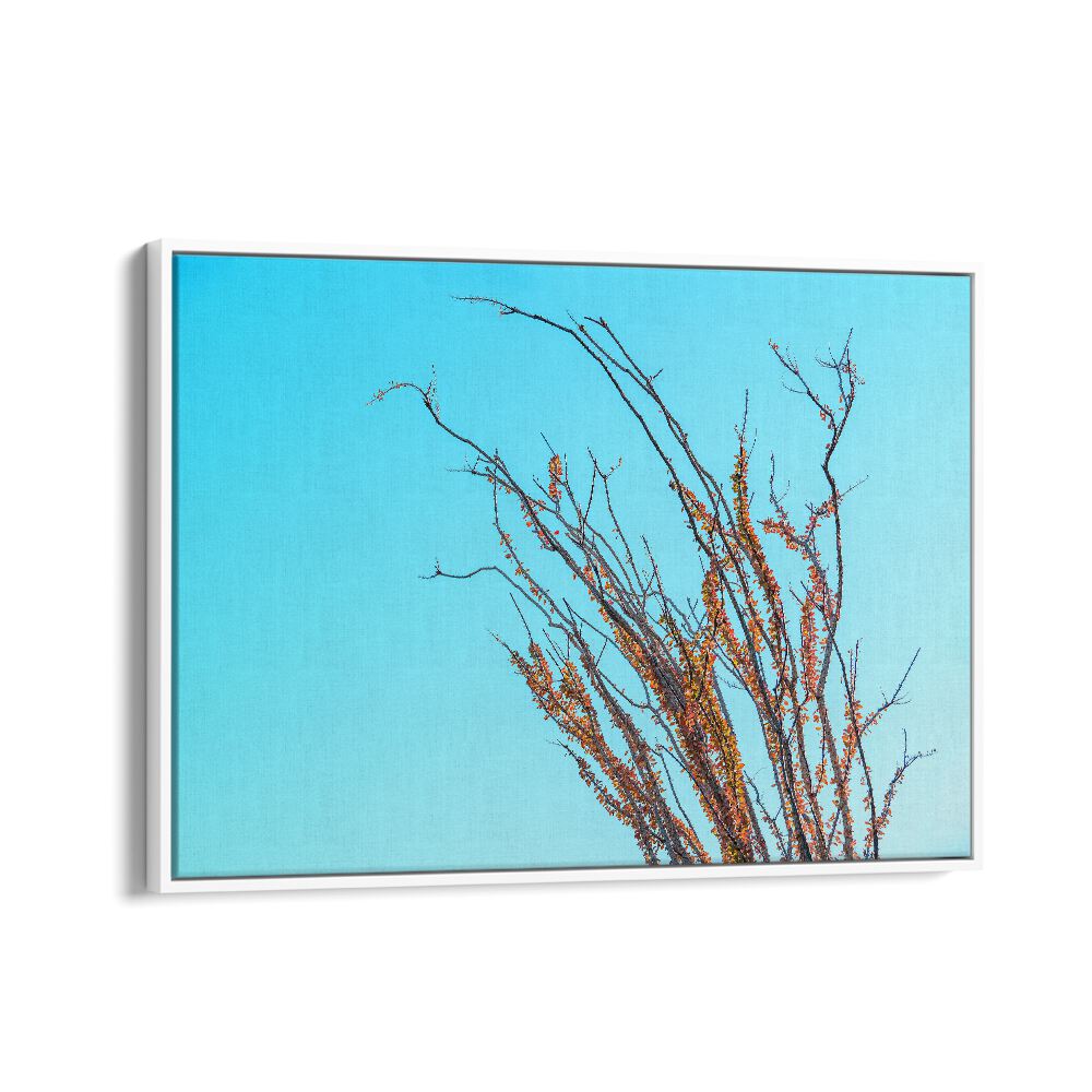 ABSTRACT painting - OCOTILLO IN THE FALL by Asianmonk