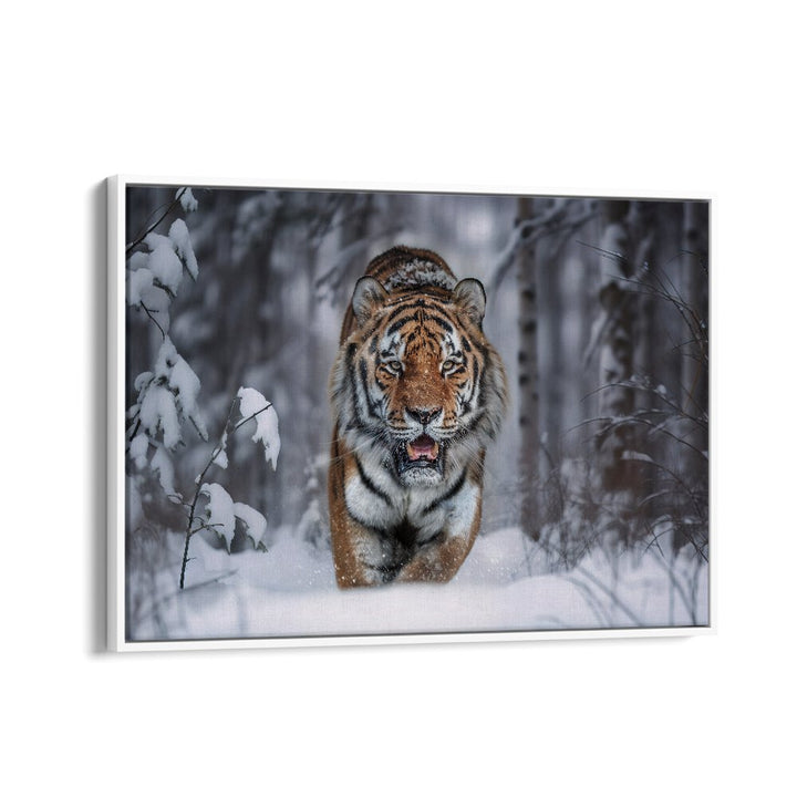 ABSTRACT painting - SNOW TIGER by Asianmonk