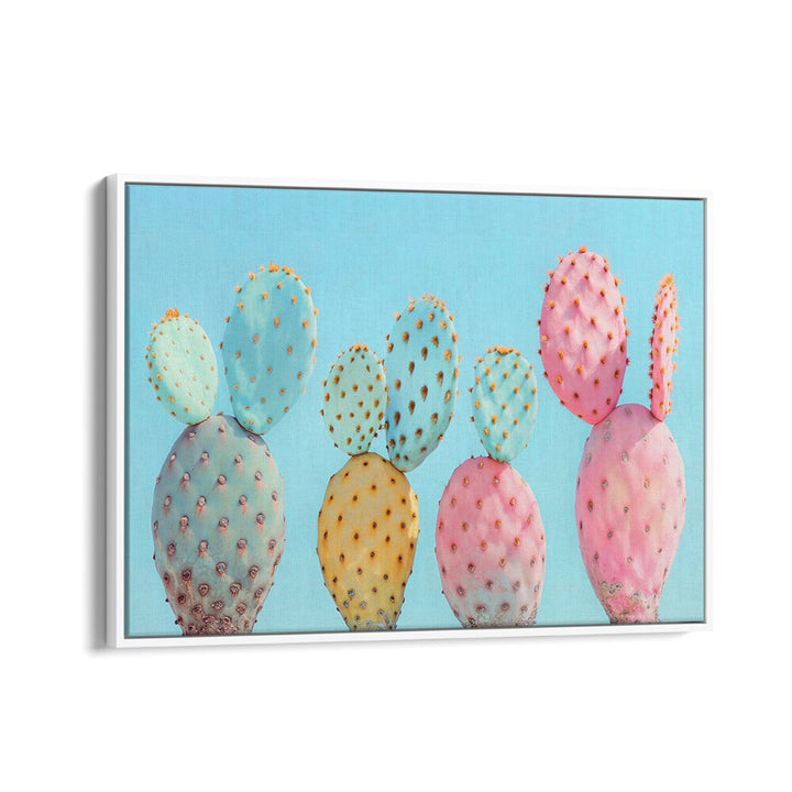 COLORFUL CACTUS  , BEACH PAINTINGS