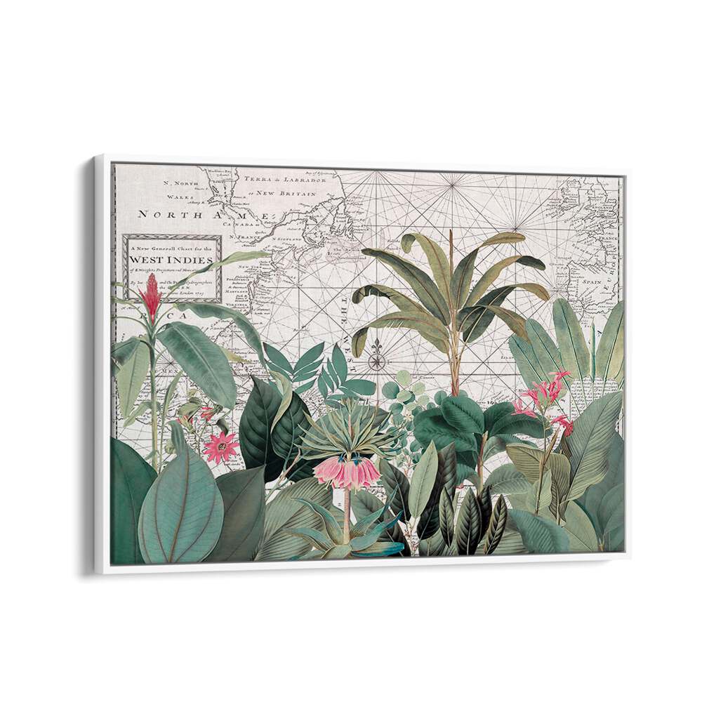 EXOTIC WILDLIFE MAP I BY ANDREA HAASE , WILDLIFE POSTERS, WILDLIFE PAINTINGS