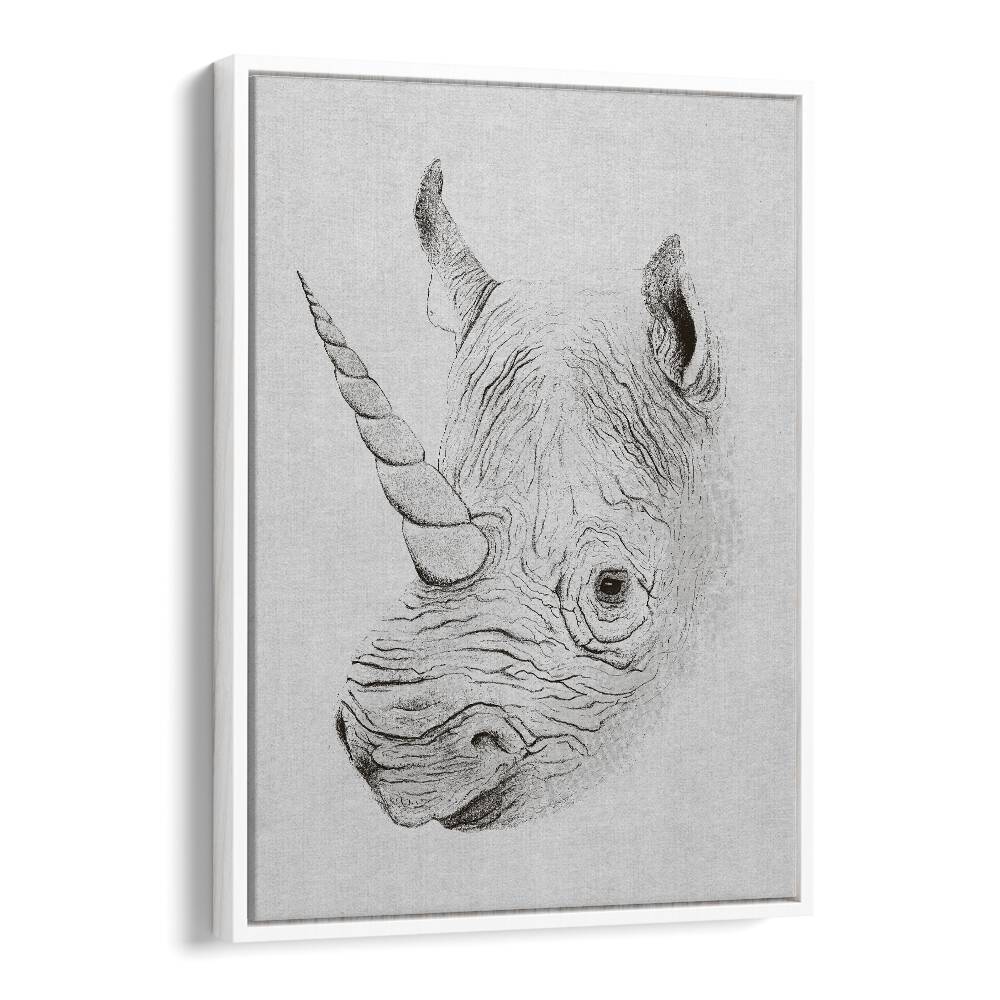 RHINOPLASTY , ANIMAL PAINTINGS