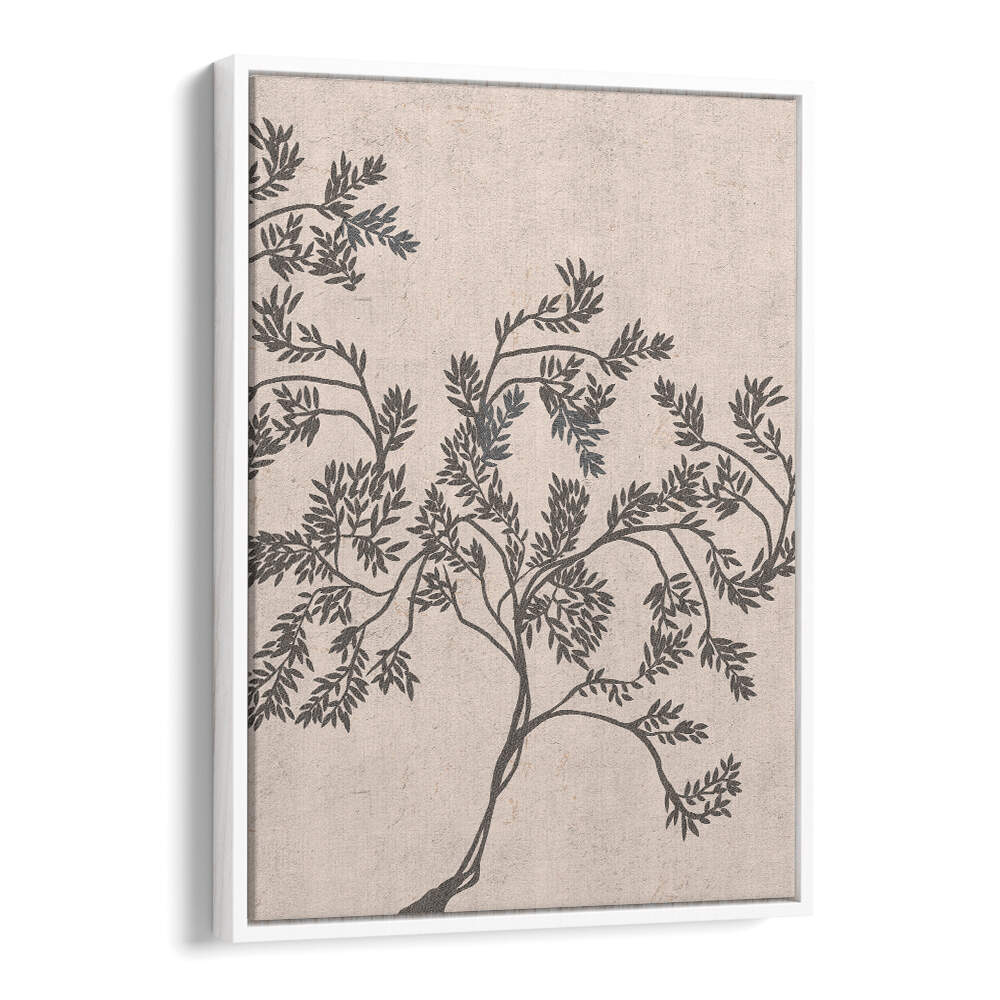 ACACIA NILOTICA , FLORAL FLOWER PAINTINGS