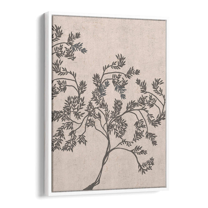 ACACIA NILOTICA , FLORAL FLOWER PAINTINGS