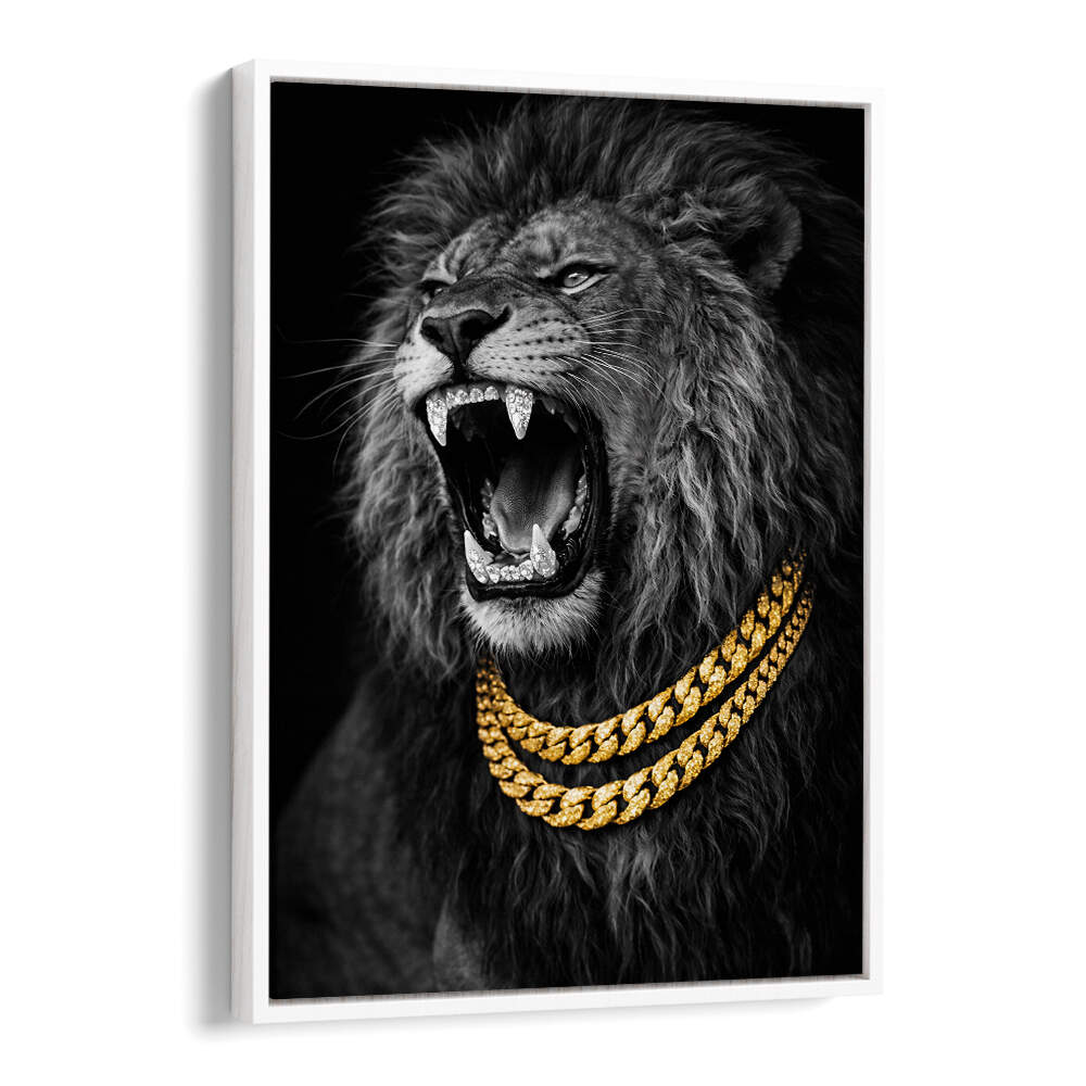 BEJWELED CONCEPT PHOTOGRAPHY