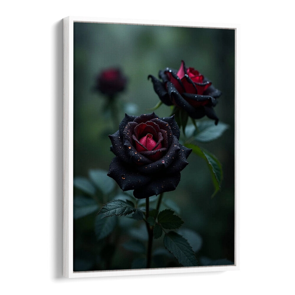 BLACK ROSES