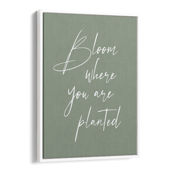 BLOOM , QUOTES & TYPOGRAPHY POSTERS