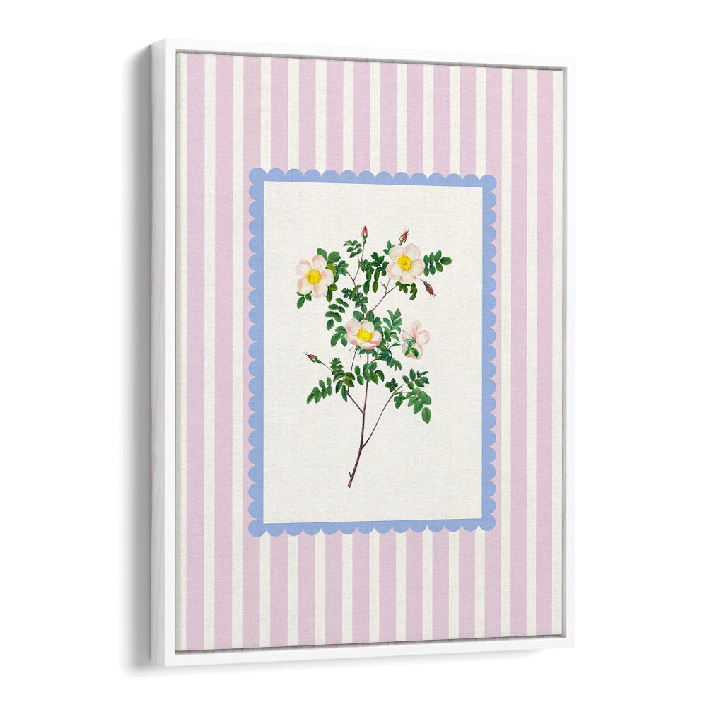 BLUSH WILD ROSE STUDY