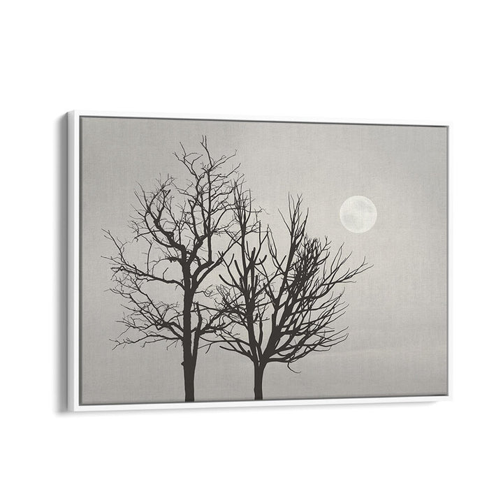 BRIGHT MOON LIGHT , LANDSCAPE PAINTINGS