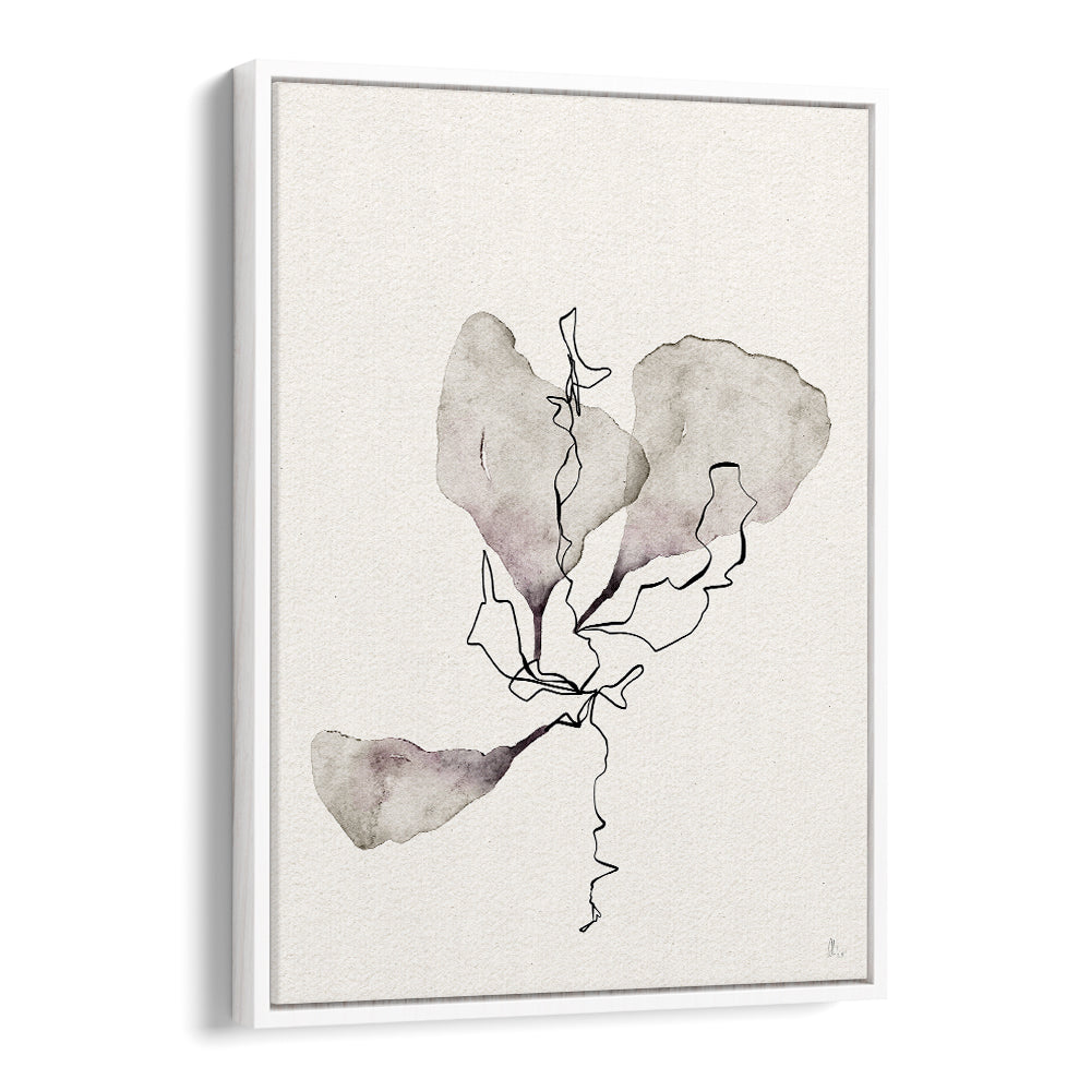 DELICATE BOTANICAL STUDY