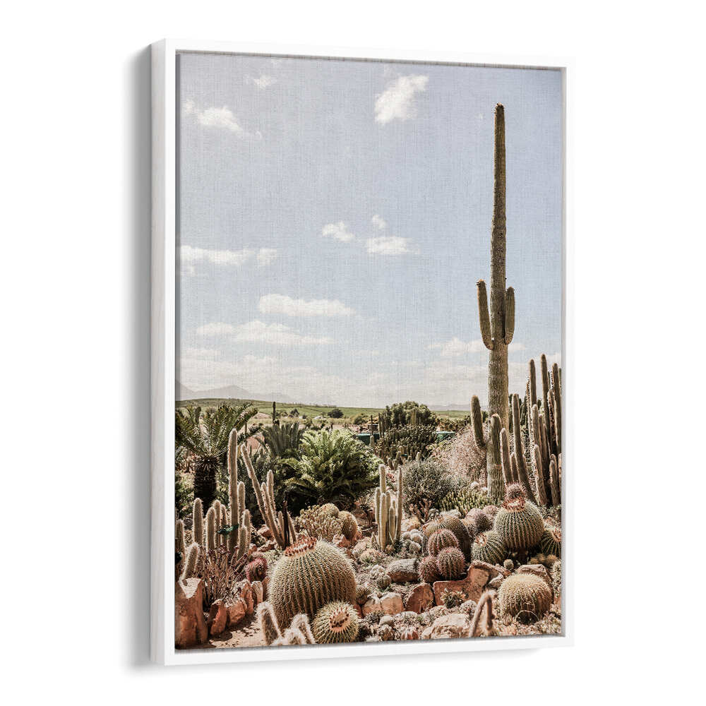DESERT SYMPHONY , COWBOY modern Americana canvas by WHITEFLOATER showing tall saguaro and barrel cacti in sunlit desert