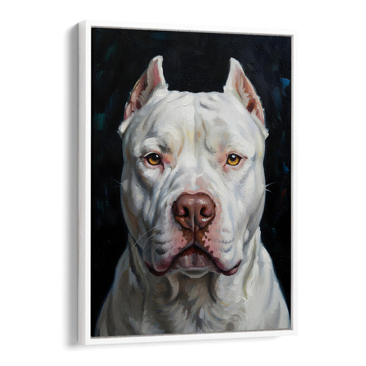 DOGO ARGENTINO