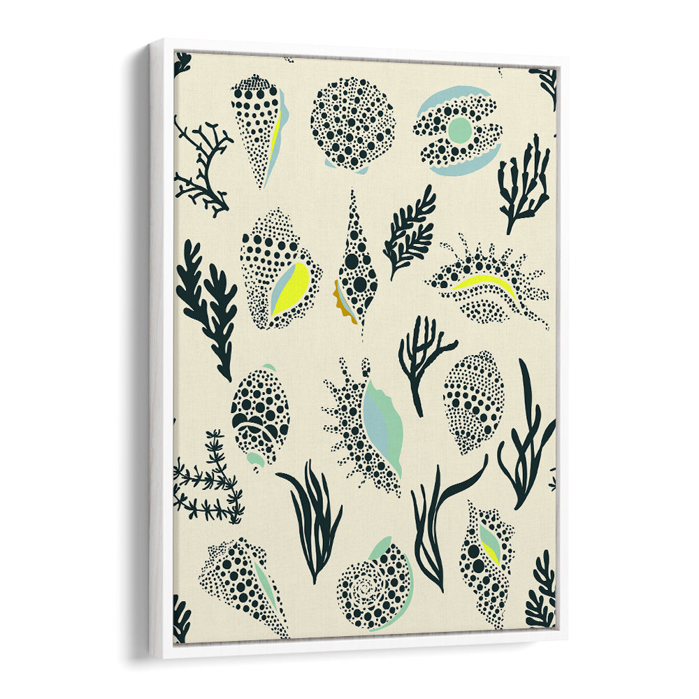 DOTTED OCEAN SHELLS