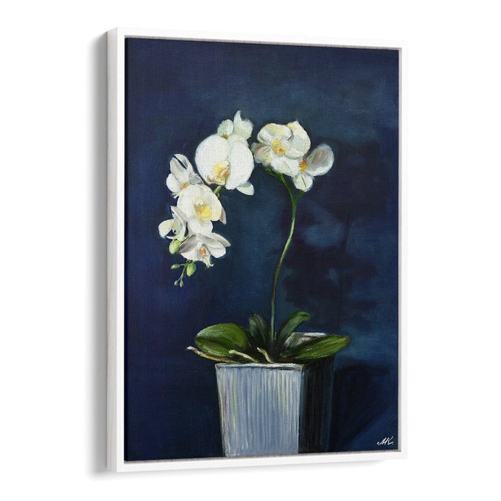 ELEGANT WHITE ORCHIDS
