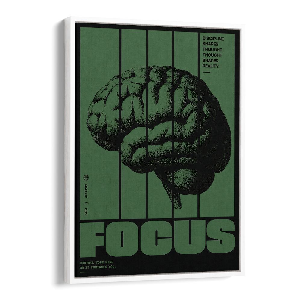 FOCUS - VI