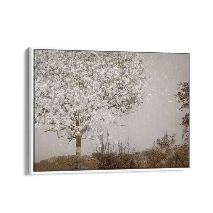 FRUIT TREE , FLORAL FLOWER PAINTINGS