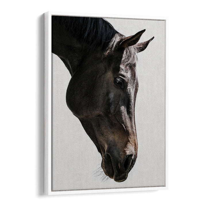 GENTLE EQUINE GAZE , ANIMAL PAINTINGS — WhiteFloater black horse portrait on linen canvas with white floater frame