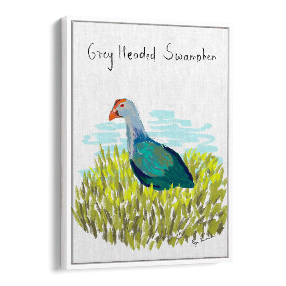 GREY HEADED SWAMPHEN