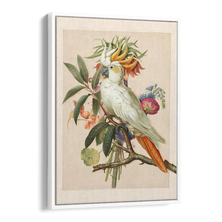 HENRIËTTA’S BIRD