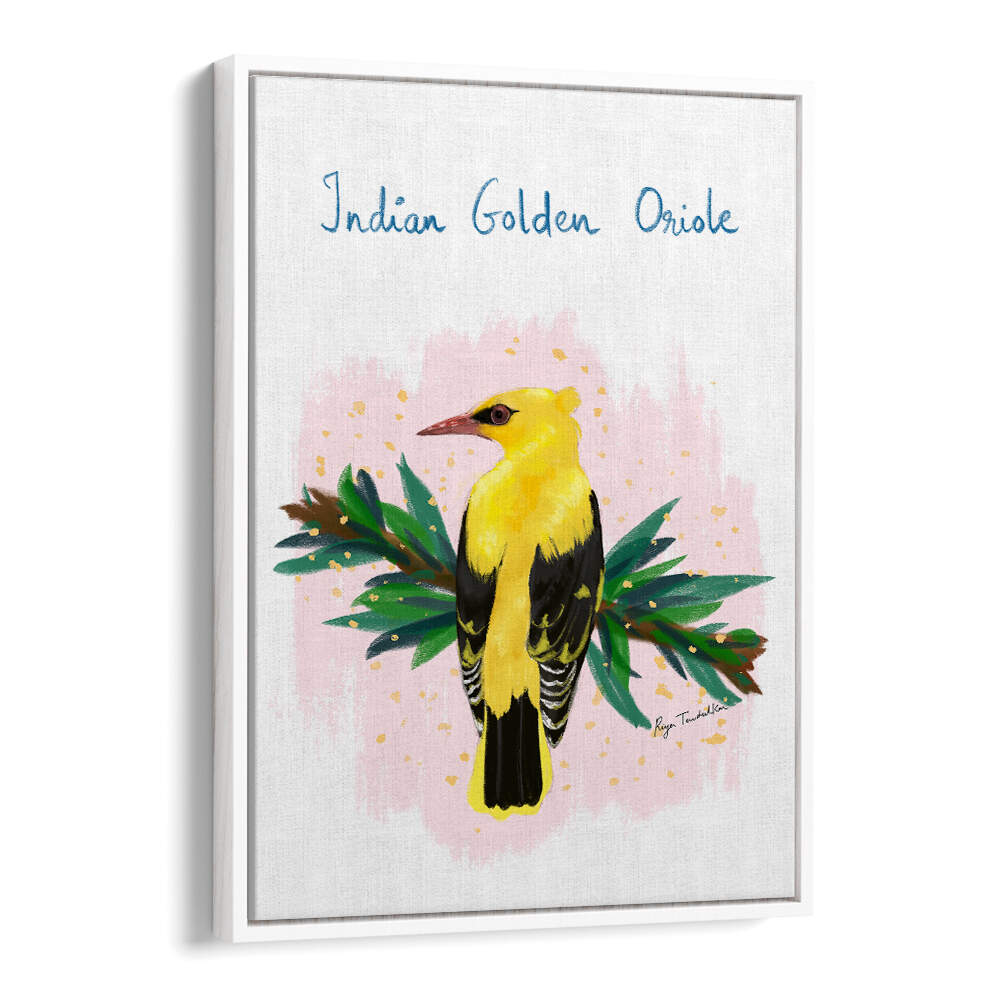 INDIAN GOLDEN ORIOLE