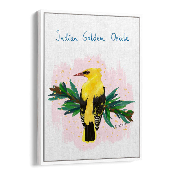 INDIAN GOLDEN ORIOLE