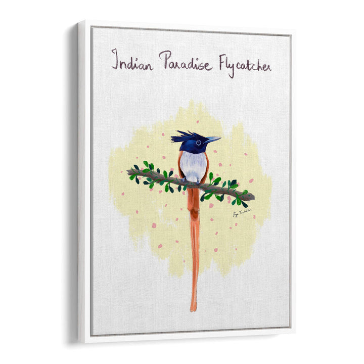 INDIAN PARADISE FLYCATCHER