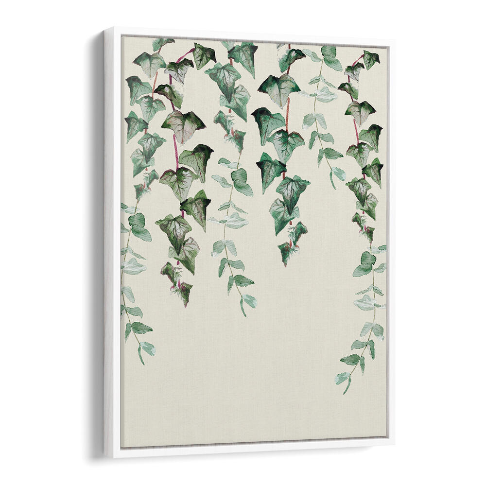 IVY Y EUCALYPTUS