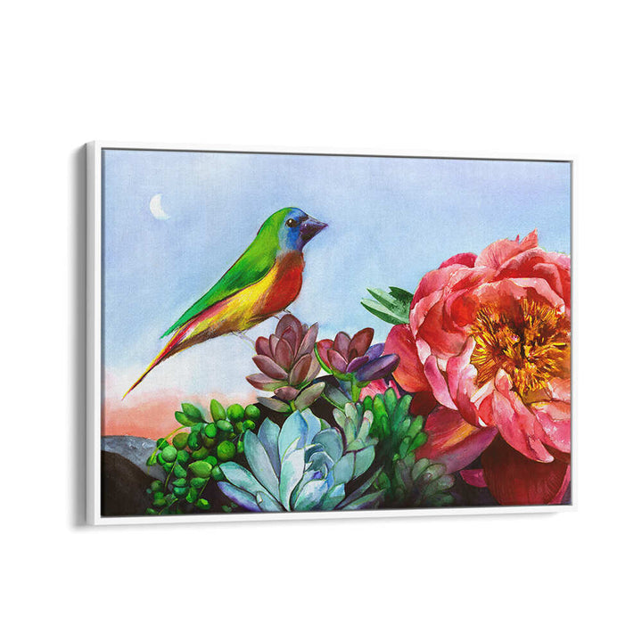 PARROT FINCH , ANIMAL PAINTINGS