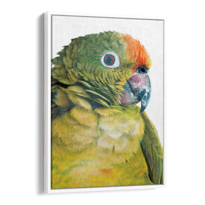 PARROT GLANCE , ANIMAL PAINTINGS — close-up green and orange parrot canvas in white floater frame