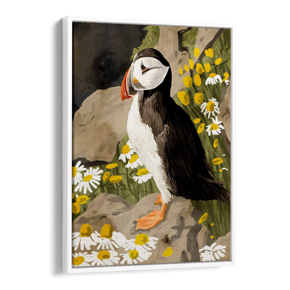 PUFFIN , ANIMAL PAINTINGS