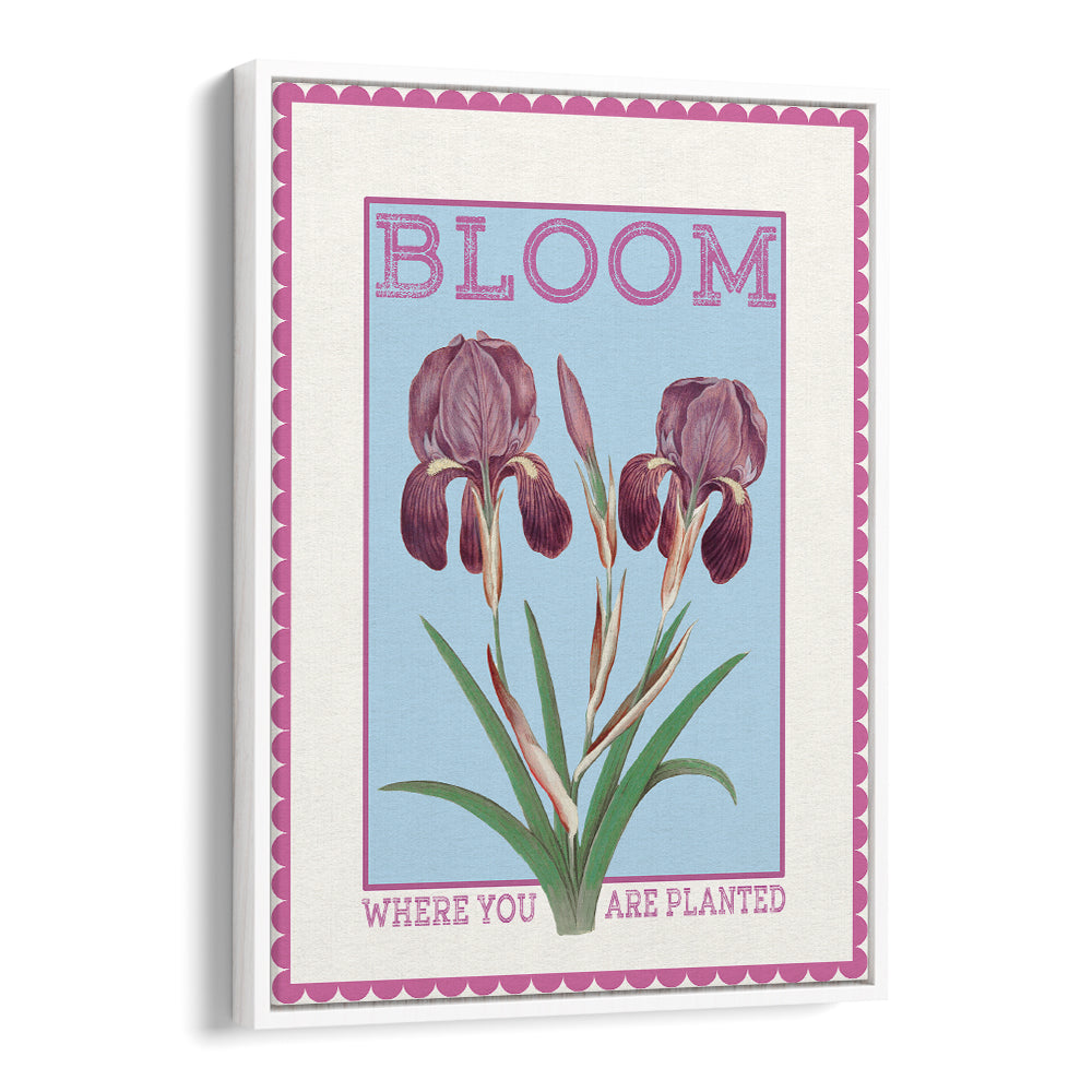PURPLE IRISES BLOOM QUOTE