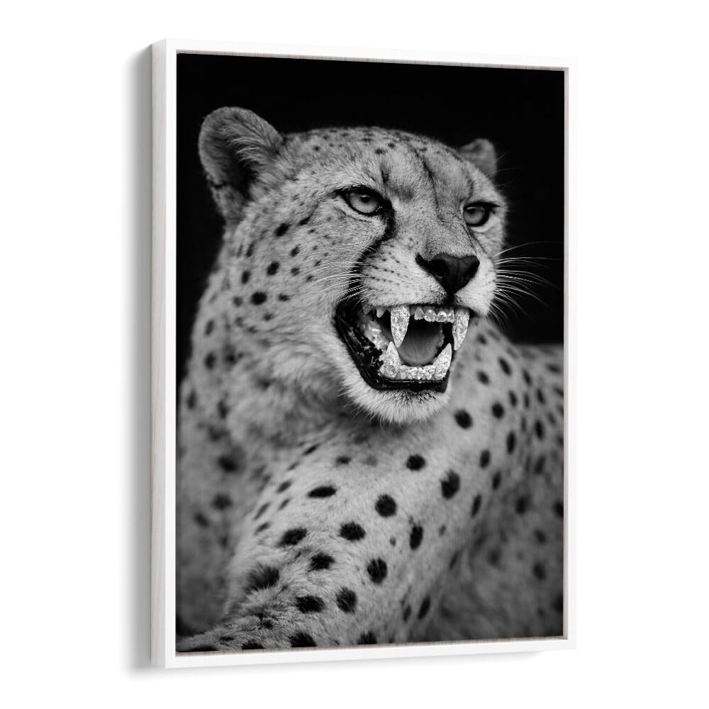 ROARING PREDATOR
