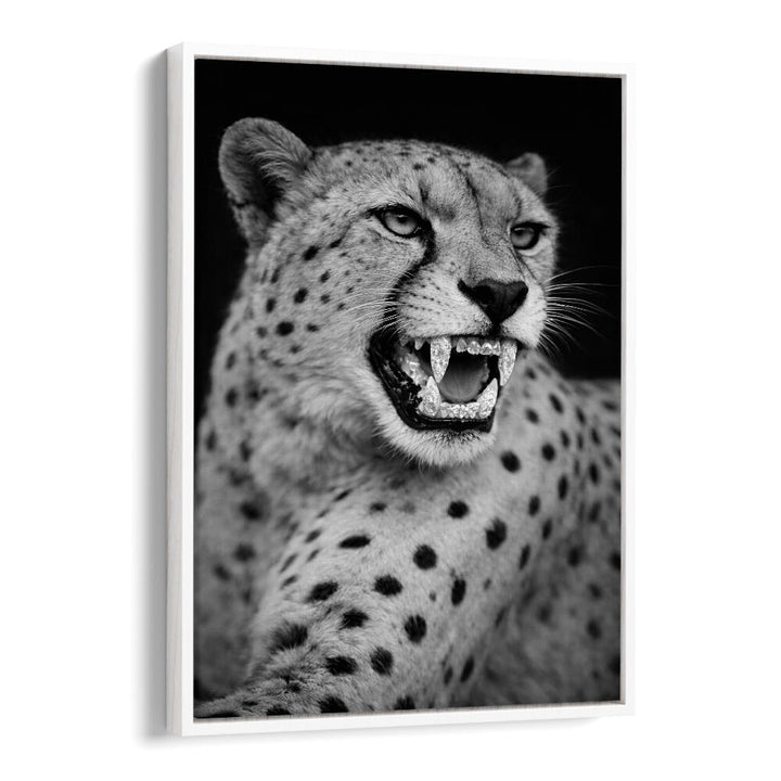 ROARING PREDATOR
