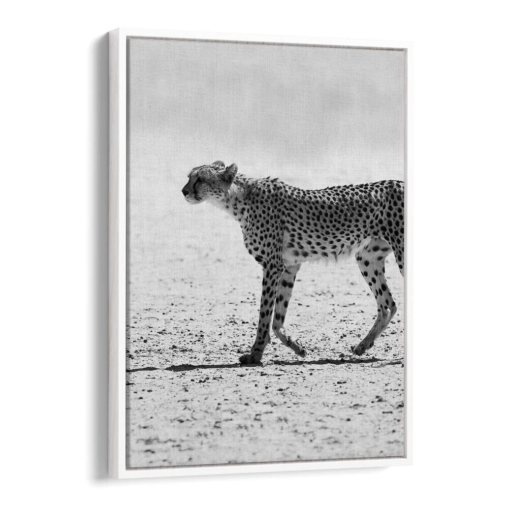 SILENT PURSUIT , ANIMAL PAINTINGS — black-and-white cheetah walking across desert on White Floater framed canvas