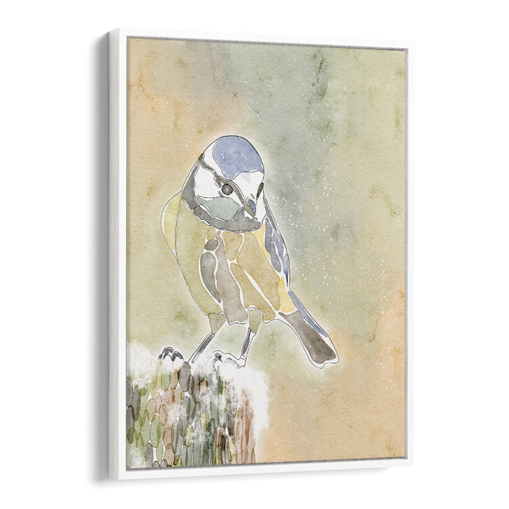 SNOWY BLUE TIT