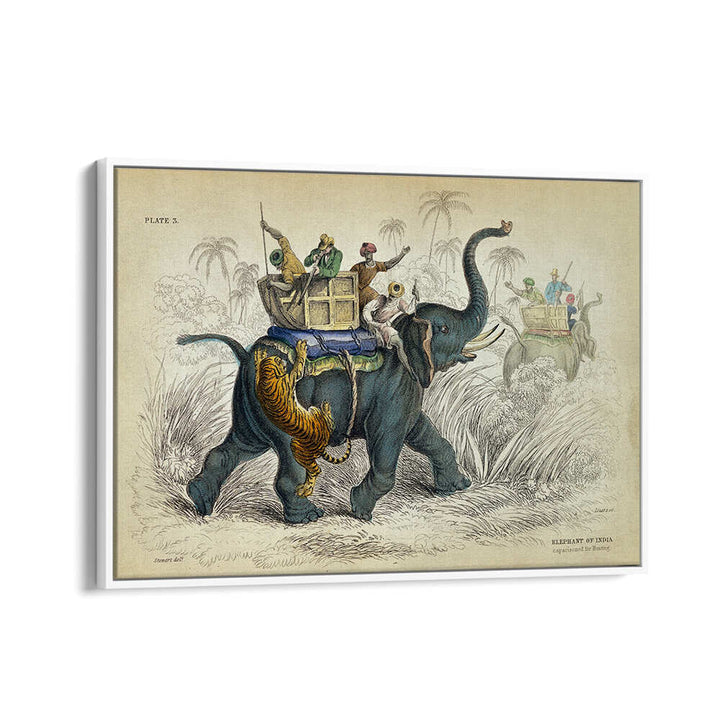 HISTORY OF THE PACHYDERMES