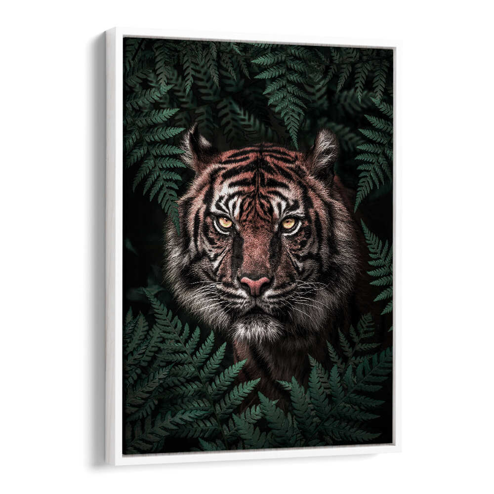 TIGER , ANIMAL PAINTINGS