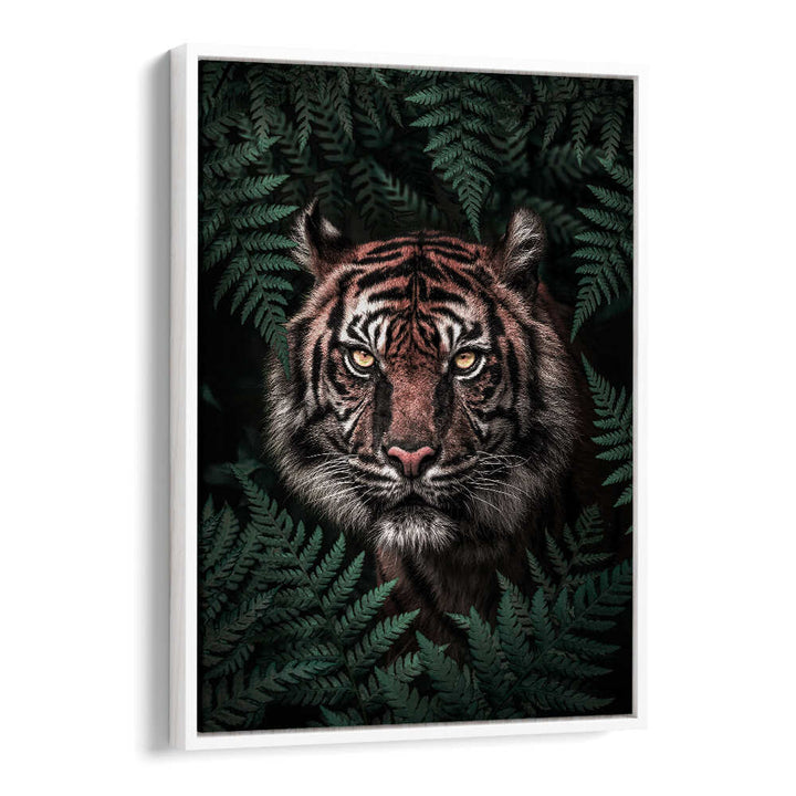 TIGER , ANIMAL PAINTINGS
