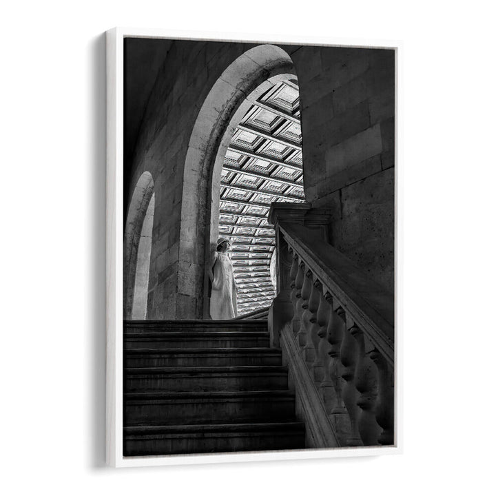 TIMELESS ARCHES