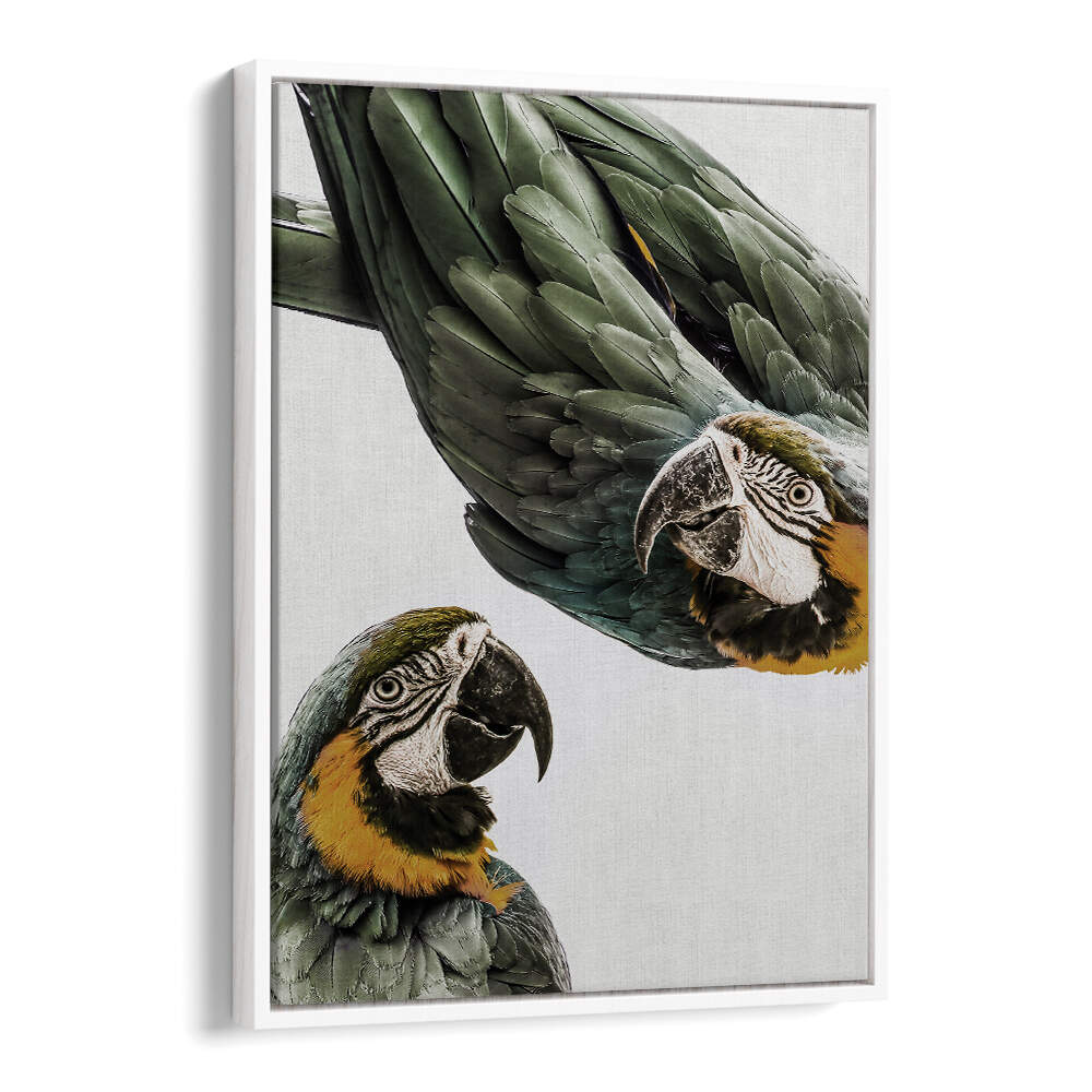 White Floater VIBRANT PARROT DUO , ANIMAL PAINTINGS — two green and yellow parrots on neutral canvas