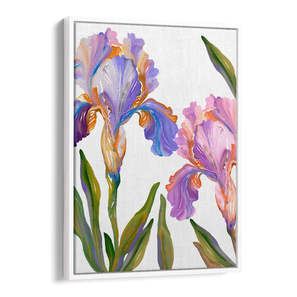 WATERCOLOR IRIS , FLORAL FLOWER PAINTINGS