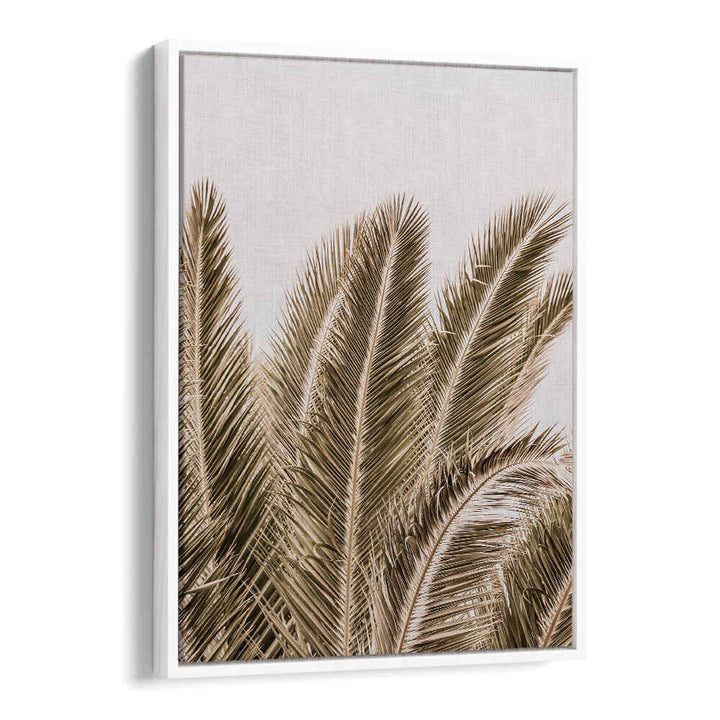 Framed palm fronds on linen backdrop — WINDSWEPT PALMS , BEACH PAINTINGS by White Floater