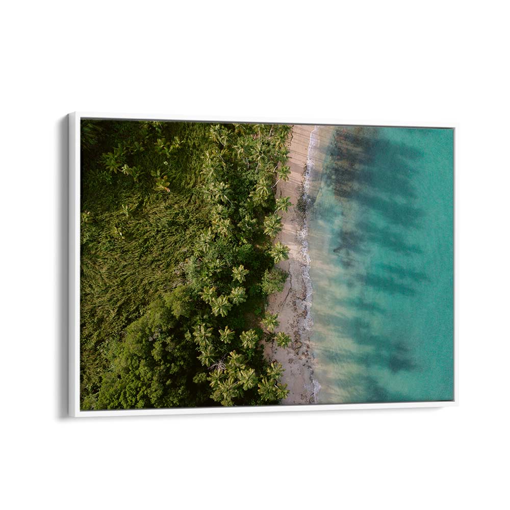 GREEN BEACH FROM ABOVE II BY RAISA ZWART , LANDSCAPE PHOTO PRINTS